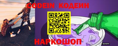крисы Кулебаки