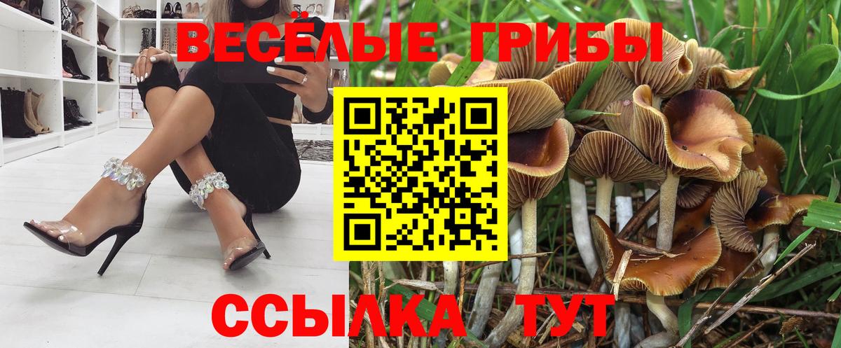 купить  сайты  Вход с VPN  Чайковский  Псилоцибиновые грибы GOLDEN TEACHER 